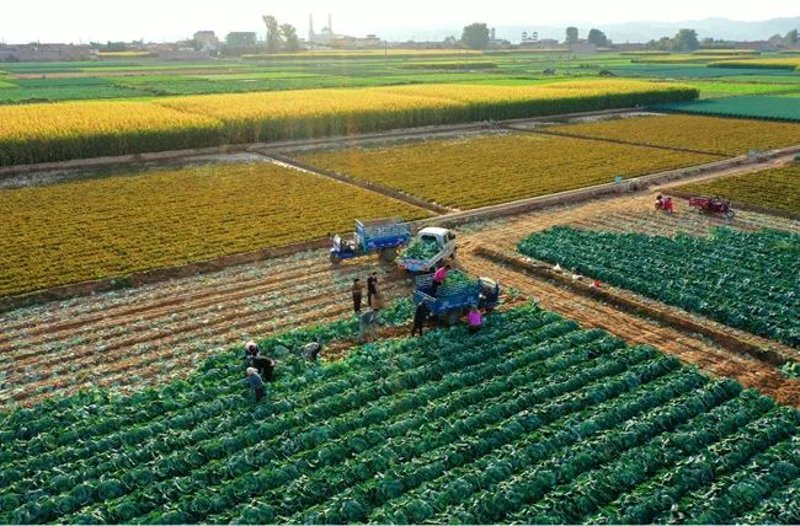 构建坚实的安全防线——工程安全监督的重要性